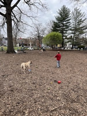 Morton Avenue Dog Park
