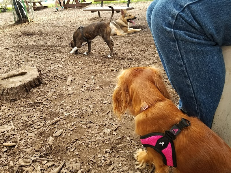 Morton Avenue Dog Park - Louisville, KY