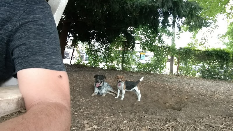 Morton Avenue Dog Park - Louisville, KY