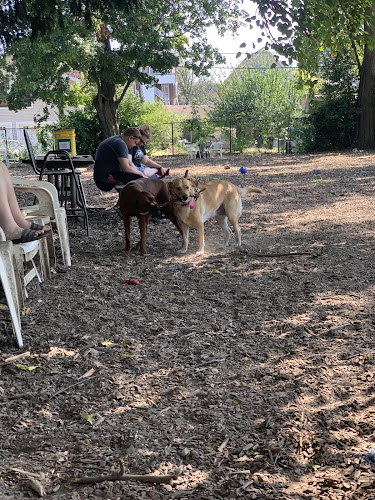 Morton Avenue Dog Park