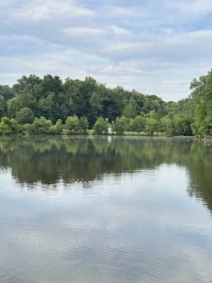 Waverly Dog Run - Louisville, KY