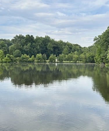 Waverly Dog Run - Louisville, KY
