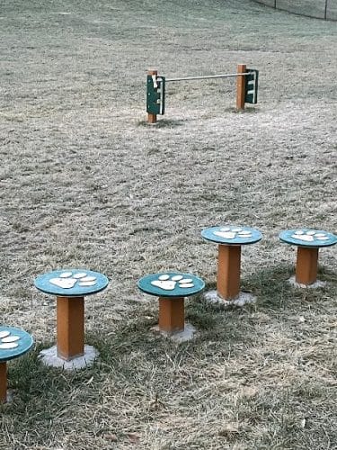 Matt Haverkamp Foundation Dog Park