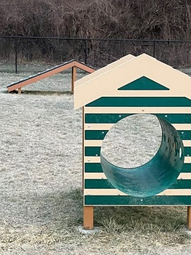 Matt Haverkamp Foundation Dog Park
