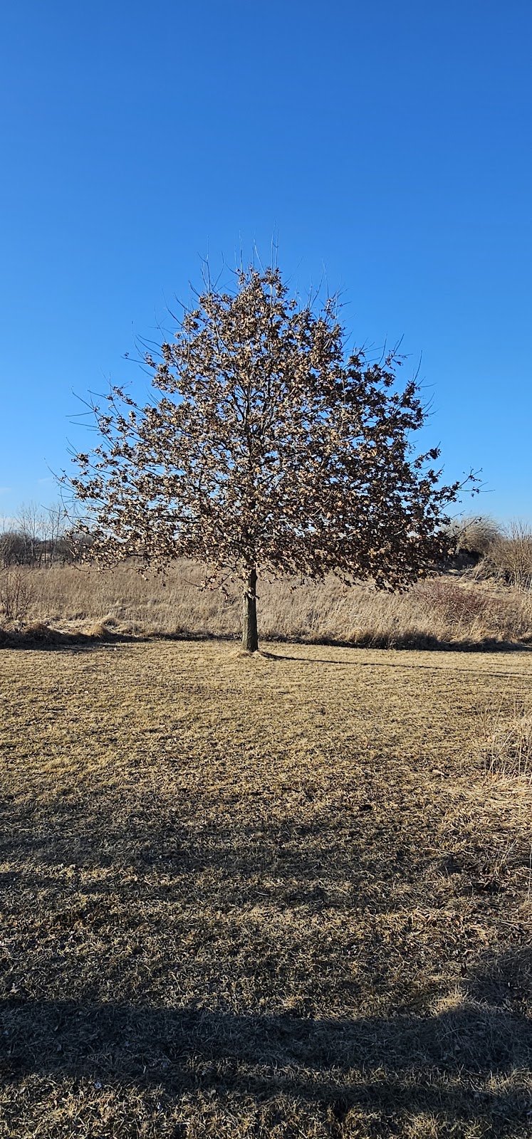 Freedom Park - Lowell, IN