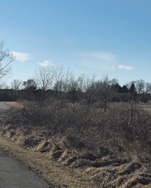 Freedom Park