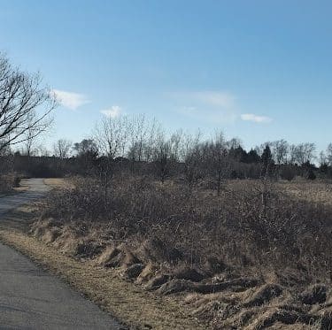 Freedom Park