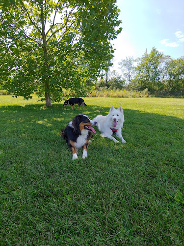Freedom Park