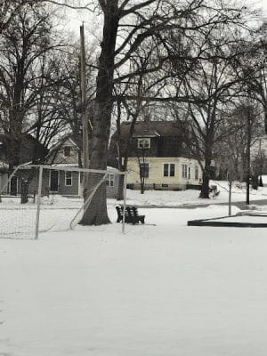 Moose Park