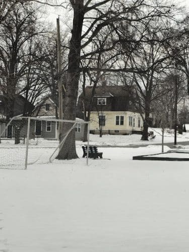 Moose Park
