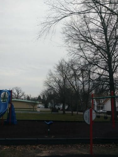 Moose Park