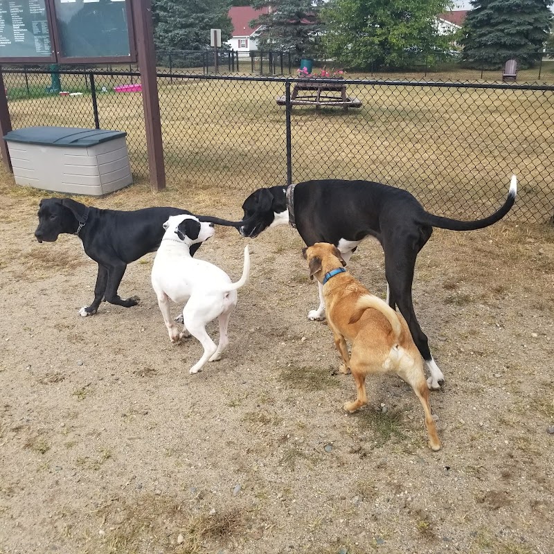 Animal Hospital of Lowell Dog Park - Lowell, MI