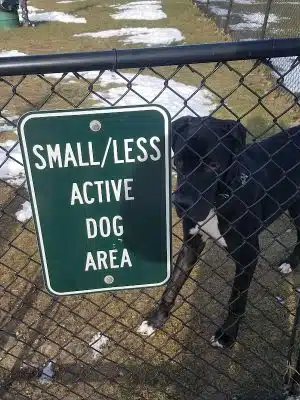 Animal Hospital of Lowell Dog Park