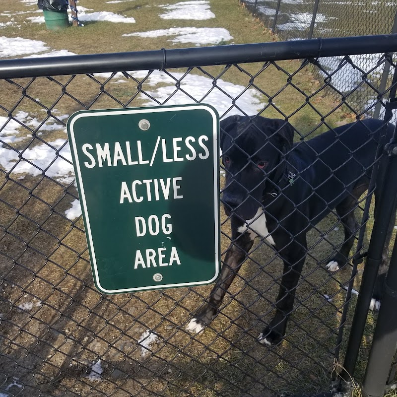 Animal Hospital of Lowell Dog Park - Lowell, MI
