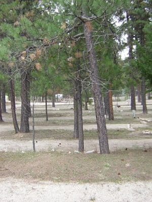 Lowman RV Park
