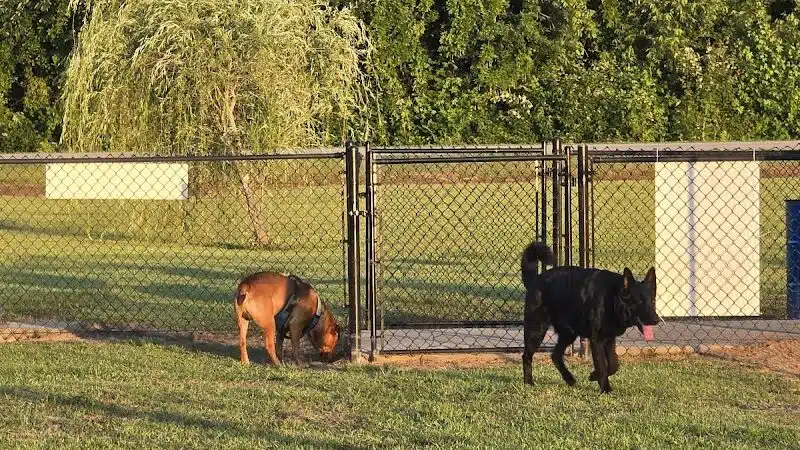 Lumberton Dog Park - Lumberton, NC
