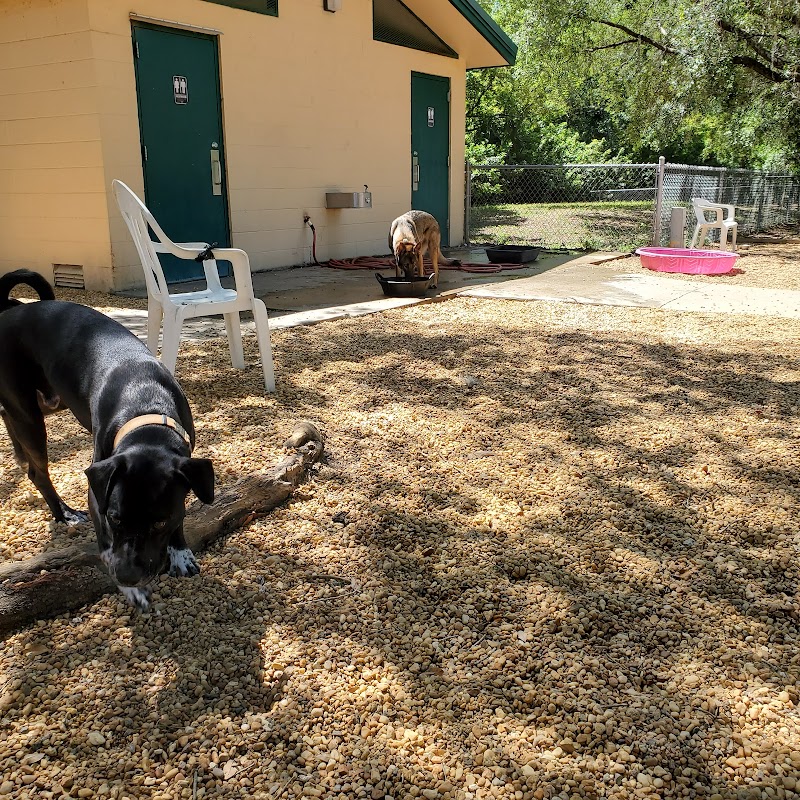 Carolyn Meeker Dog Park - Lutz, FL
