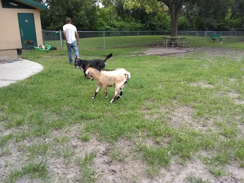 Carolyn Meeker Dog Park - Lutz, FL