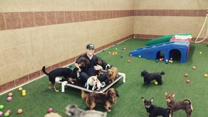 The Ultimate Pet Lodge LLC - Lyman, SC