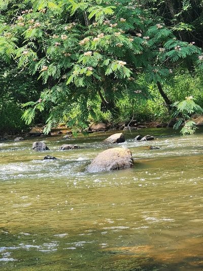 Tyger River Park - Lyman, SC