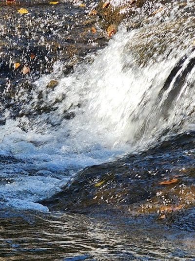 Tyger River Park - Lyman, SC