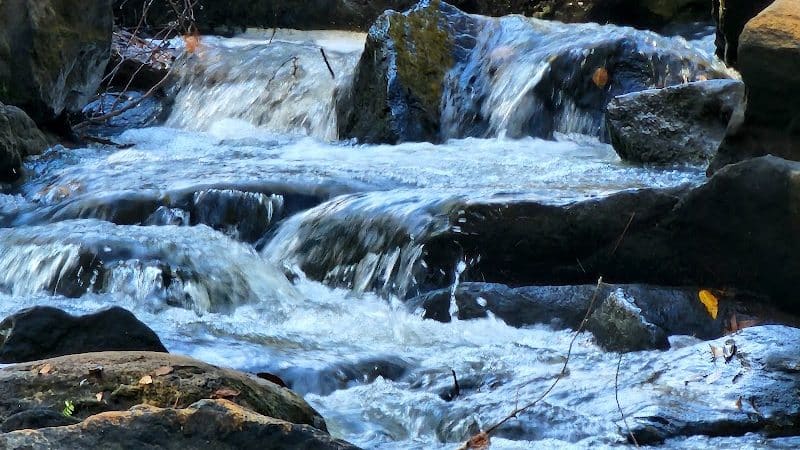 Tyger River Park - Lyman, SC