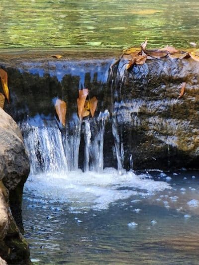 Tyger River Park - Lyman, SC