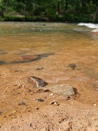 Tyger River Park - Lyman, SC