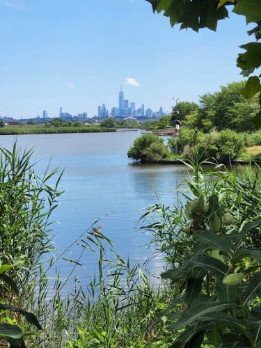 Richard W. DeKorte Park
