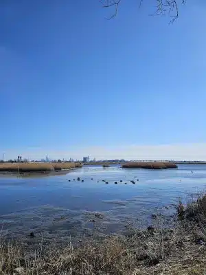 Richard W. DeKorte Park