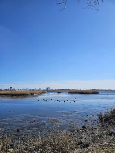 Richard W. DeKorte Park