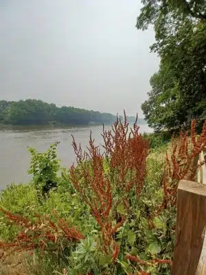 Lyndon Bridge Park & Shelter - Lyndon, IL