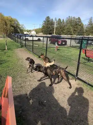 Barkland Avenue Dog Park