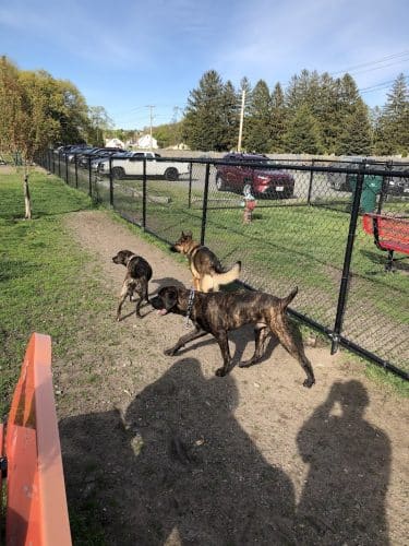 Barkland Avenue Dog Park