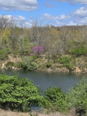 Interlake State Recreation Area