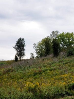 Interlake State Recreation Area