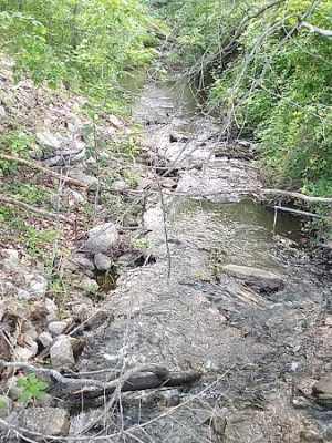 Tecumseh Trail