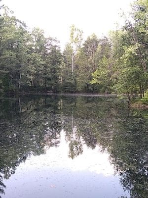 Tecumseh Trail