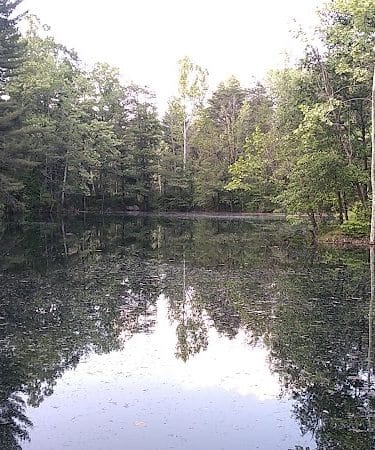 Tecumseh Trail