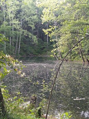 Tecumseh Trail