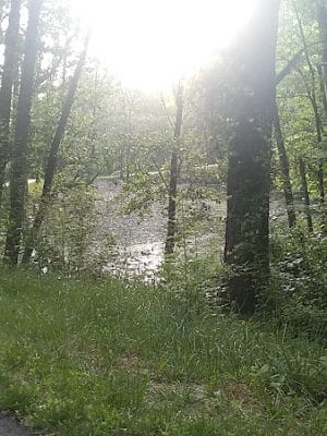 Tecumseh Trail