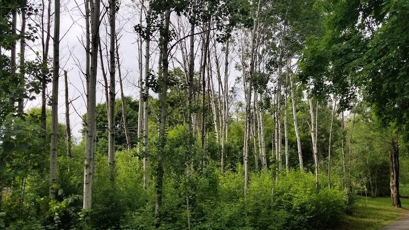 Schoonmaker Park - Machesney Park, IL