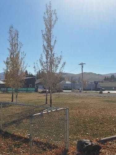 Mackay dog park