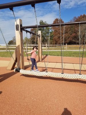 Mahr dog park - Madisonville, KY