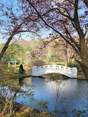 Wickham Park
