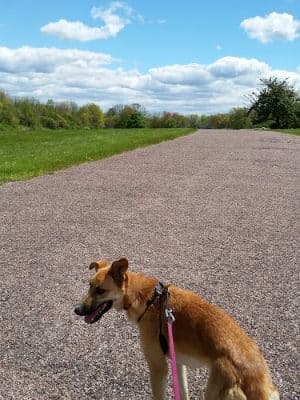 Wickham Park