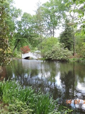 Wickham Park