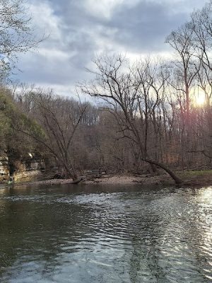 Chumbley Woods Trail