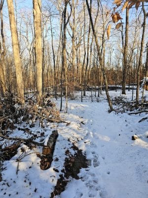Chumbley Woods Trail