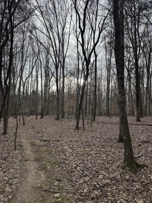 Chumbley Woods Trail